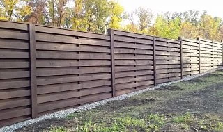 �����: �����-����� ��������������