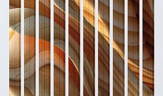 �����: ����� ��������� � 3D ������������ ���������� � ������